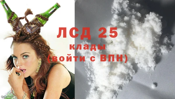 ПСИЛОЦИБИНОВЫЕ ГРИБЫ Бородино