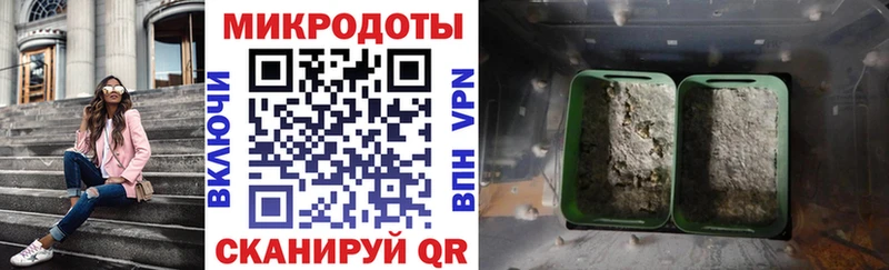 Галлюциногенные грибы Psilocybe omg tor Горячий Ключ