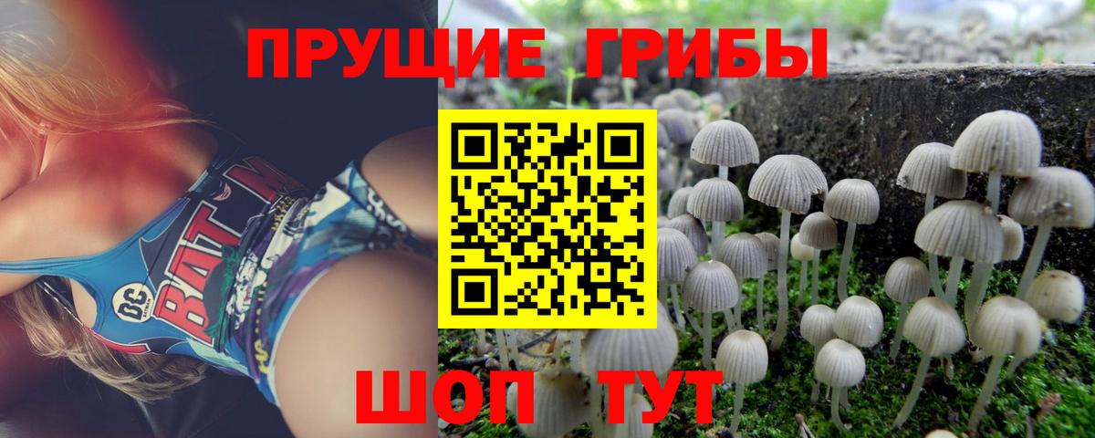 Галлюциногенные грибы прущие грибы Горячий Ключ