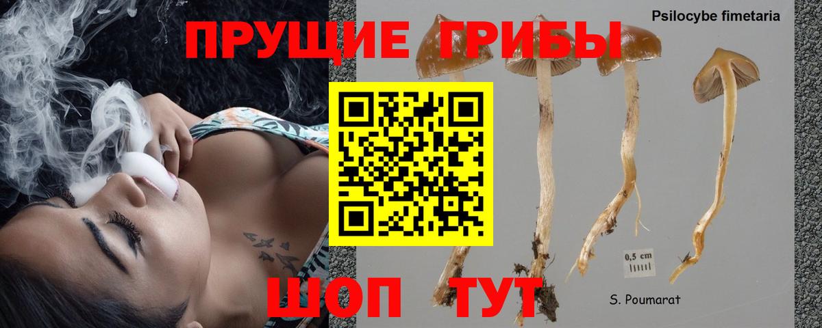 Галлюциногенные грибы Psilocybine cubensis  Вход с VPN  Горячий Ключ 