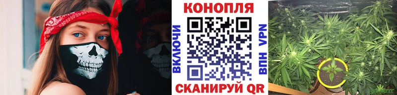Каннабис THC 21%  купить закладку  Горячий Ключ 